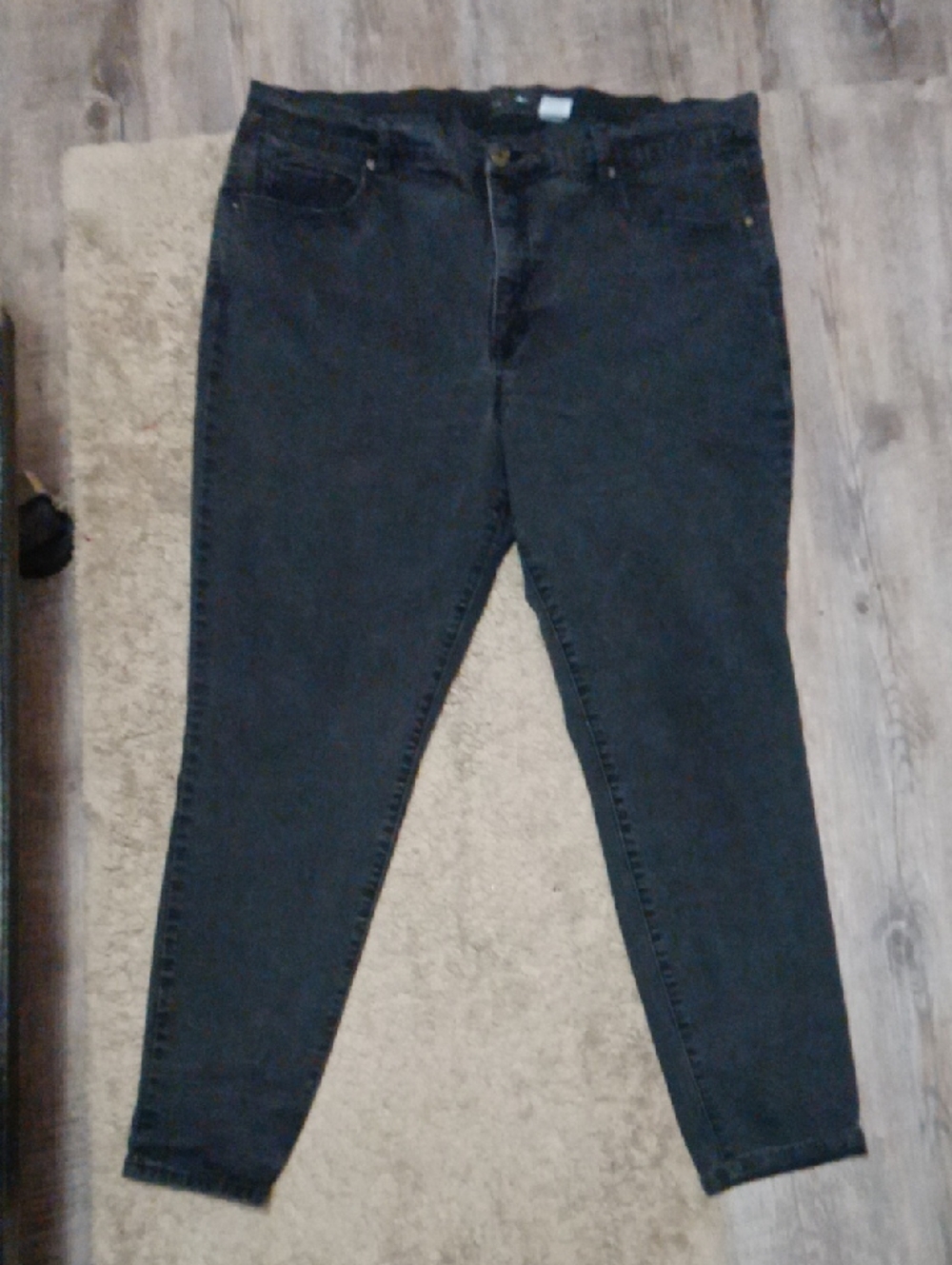 Terra & Sky Skinny Jeans Sz 22w